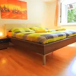 Comfort-size Apartman