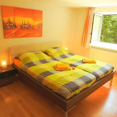 Comfort-size Apartment Linz
