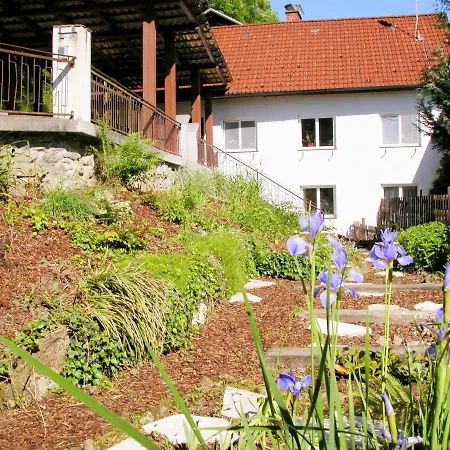 Comfort-size Апартаменты