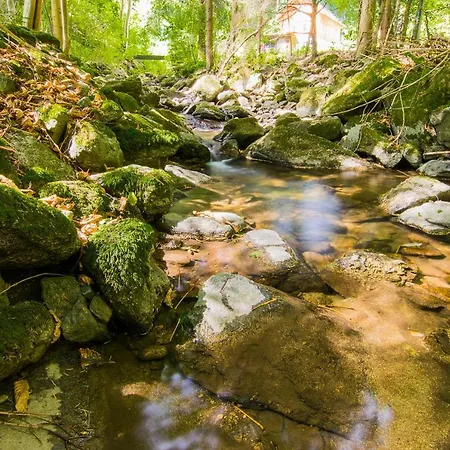 Апартаменты Comfort-size *