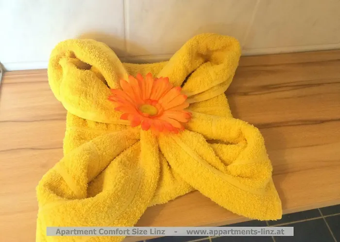 Comfort-size Линц